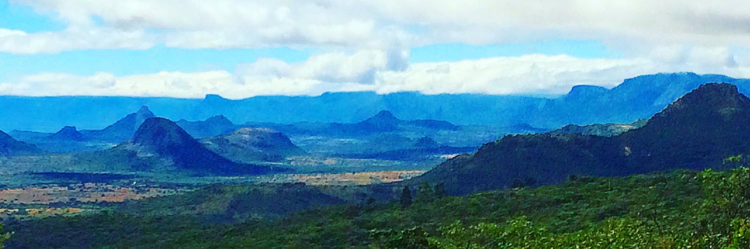 Felicity Fitzgerald banner