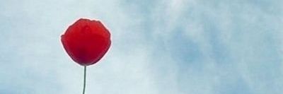 Estilanestea's profile banner image