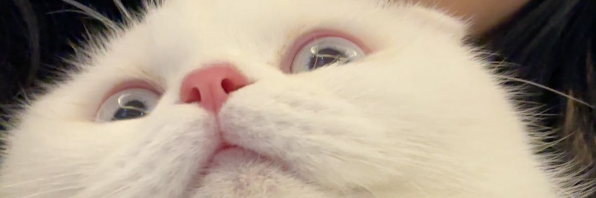 F03__'s profile banner image
