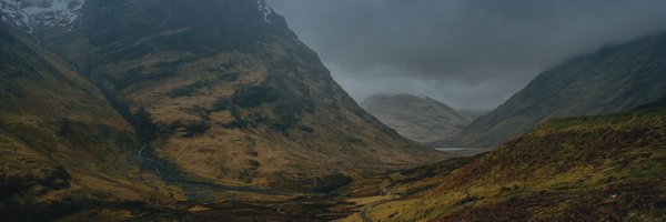 LivingstoneBrow Profile Banner