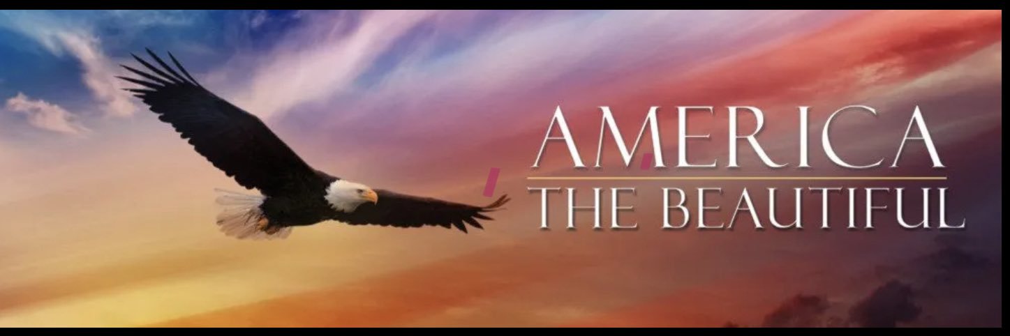 NurseOnDuty🇺🇸 banner