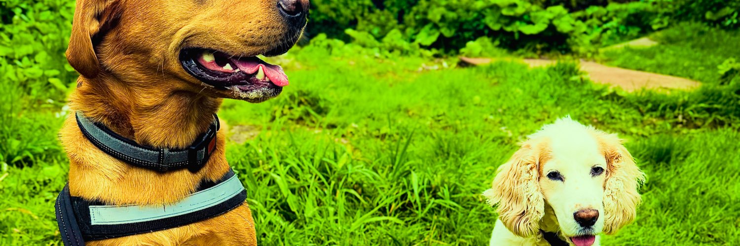 Andyhewitt95's profile banner image