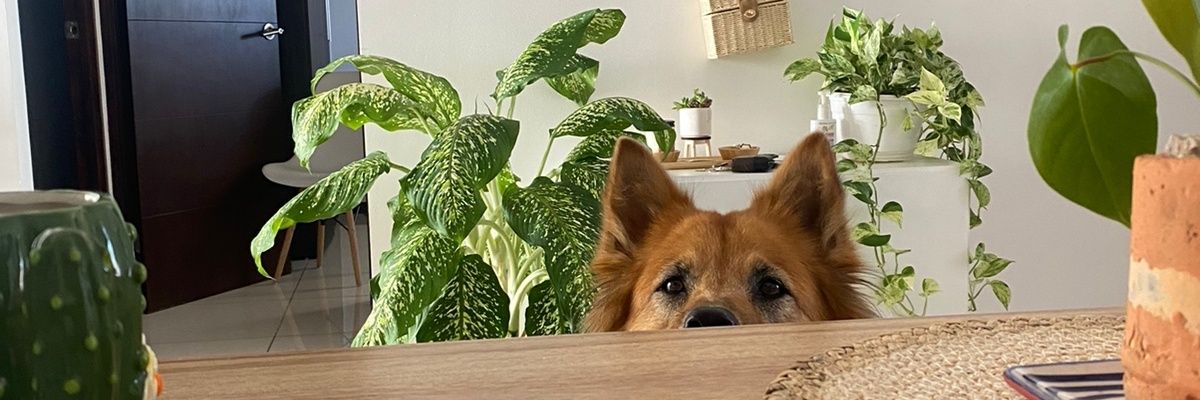 richycr28's profile banner image