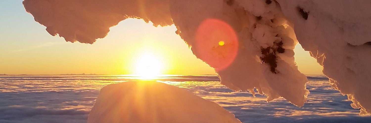 cnicolson's profile banner image