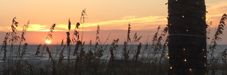 MeaganDougherty's profile banner image
