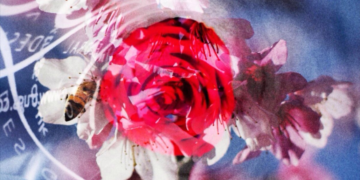 cathytaylor94's profile banner image