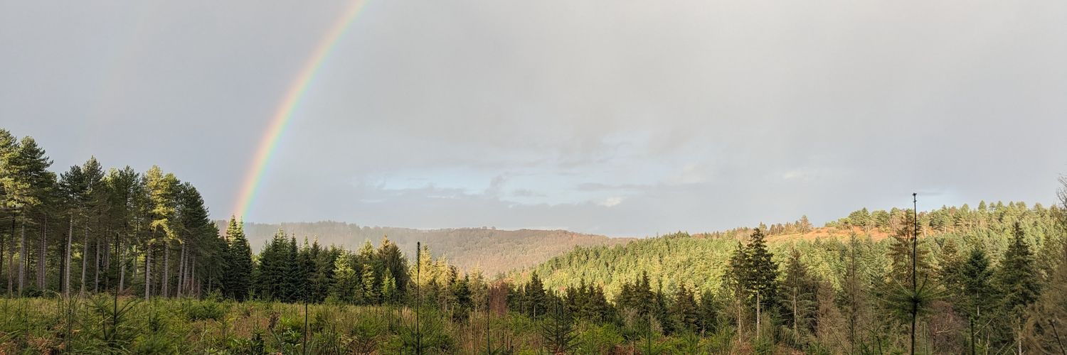 TomIanHill's profile banner image