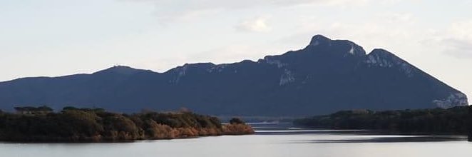 simonebrina's profile banner image