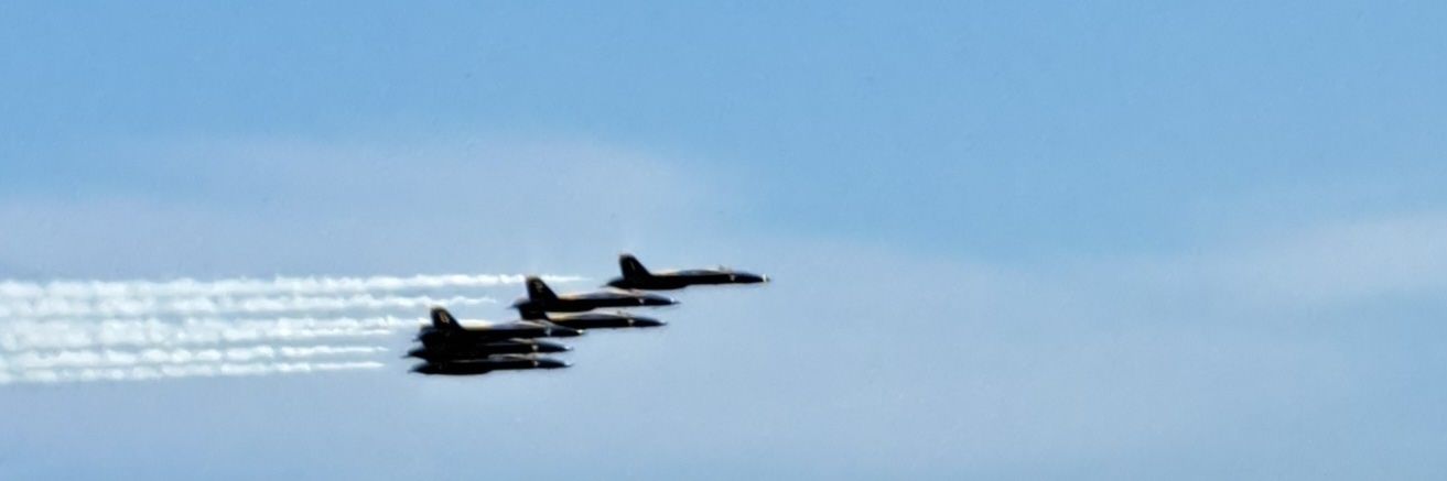 Artful Doge-r banner