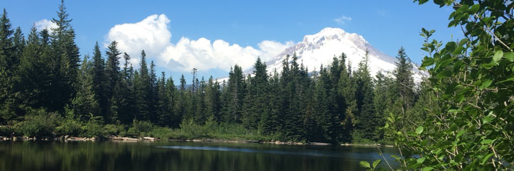ali_maier's profile banner image