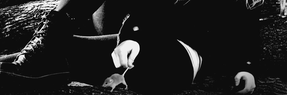 michaelarider1's profile banner image