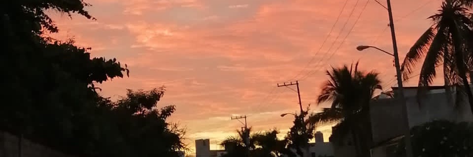 CarloZim's profile banner image