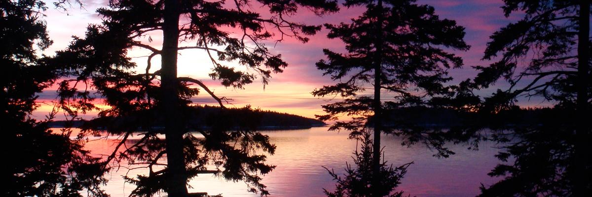duncanham's profile banner image