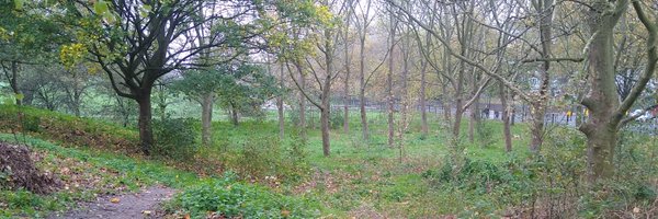 BurgessPk Profile Banner