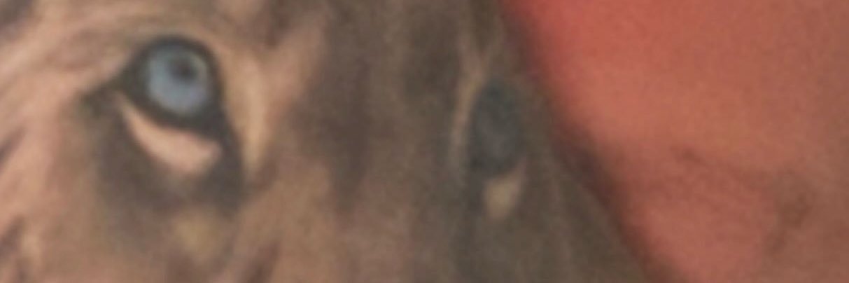 Brad_MFC's profile banner image