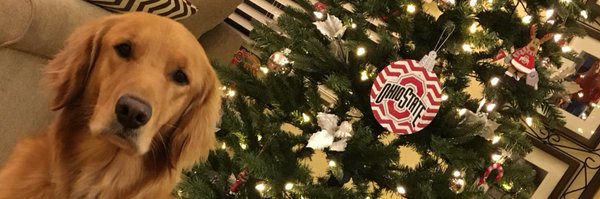 Tmath Profile Banner