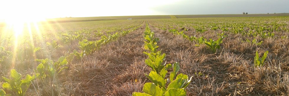 Jérôme Gallois banner