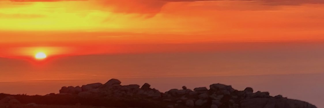 Romain Srl ® banner