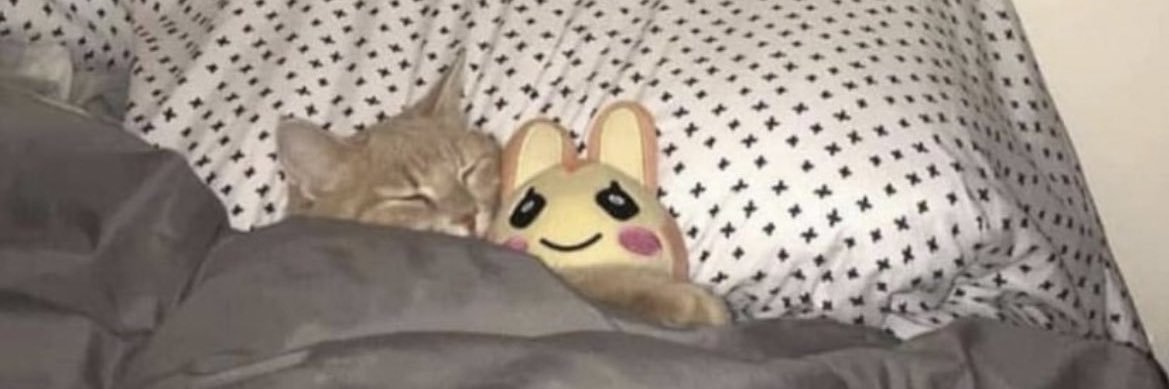 kmartjohnmayer's profile banner image