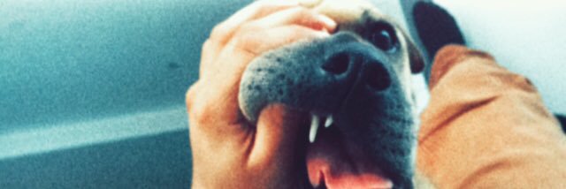 Juampi130's profile banner image