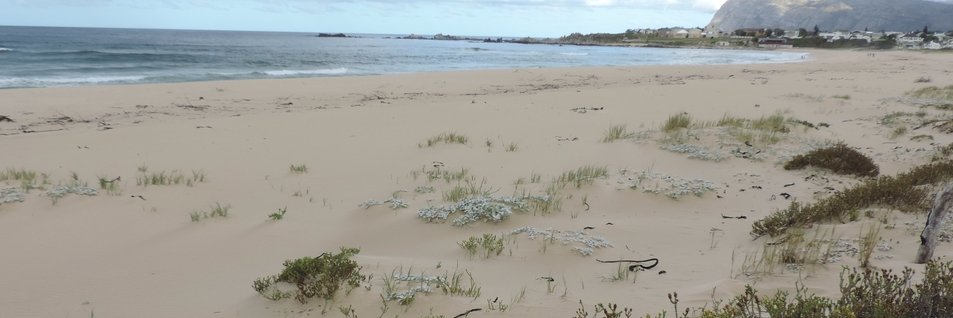 CapeEcoTours's profile banner image