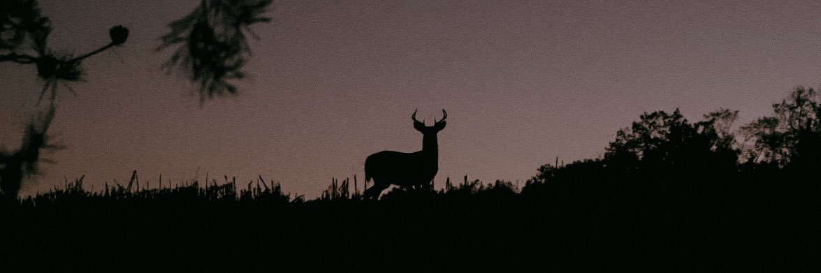 wesfoor34's profile banner image