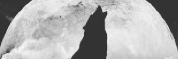 SevenFangKnight Profile Banner