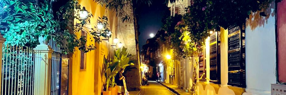 Erika_Arevaloo's profile banner image