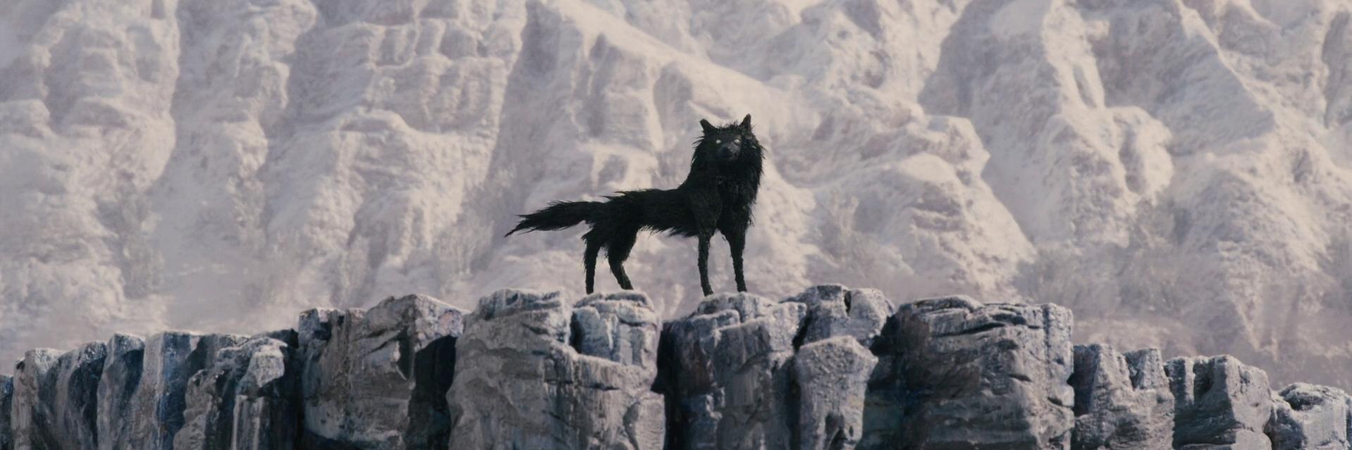 valealsina's profile banner image