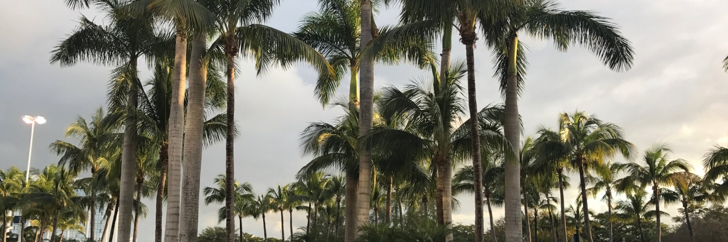 PotinV's profile banner image