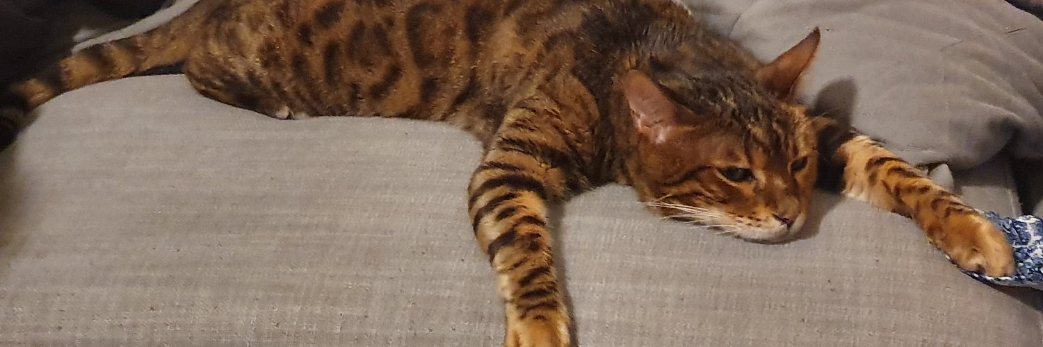 noddingginger's profile banner image