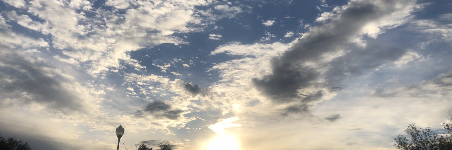 mommaannie5's profile banner image