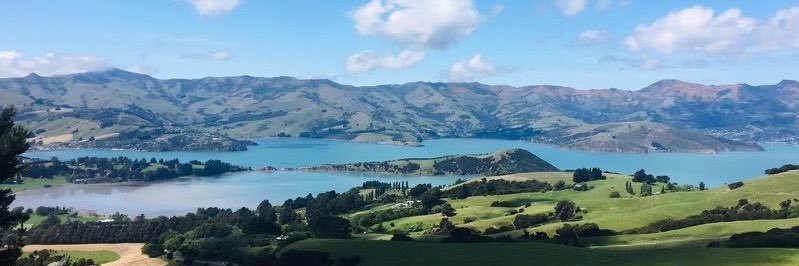 Brett Berquist banner