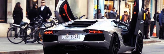 polo_rex's profile banner image
