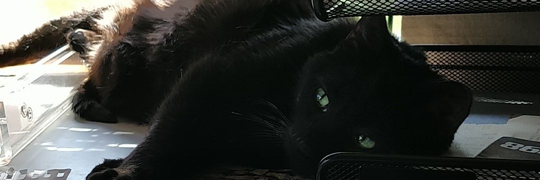 trev_recs's profile banner image