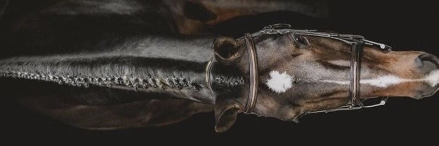 ahoudaln's profile banner image