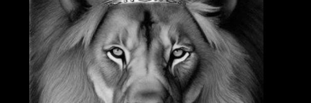 hayobam's profile banner image
