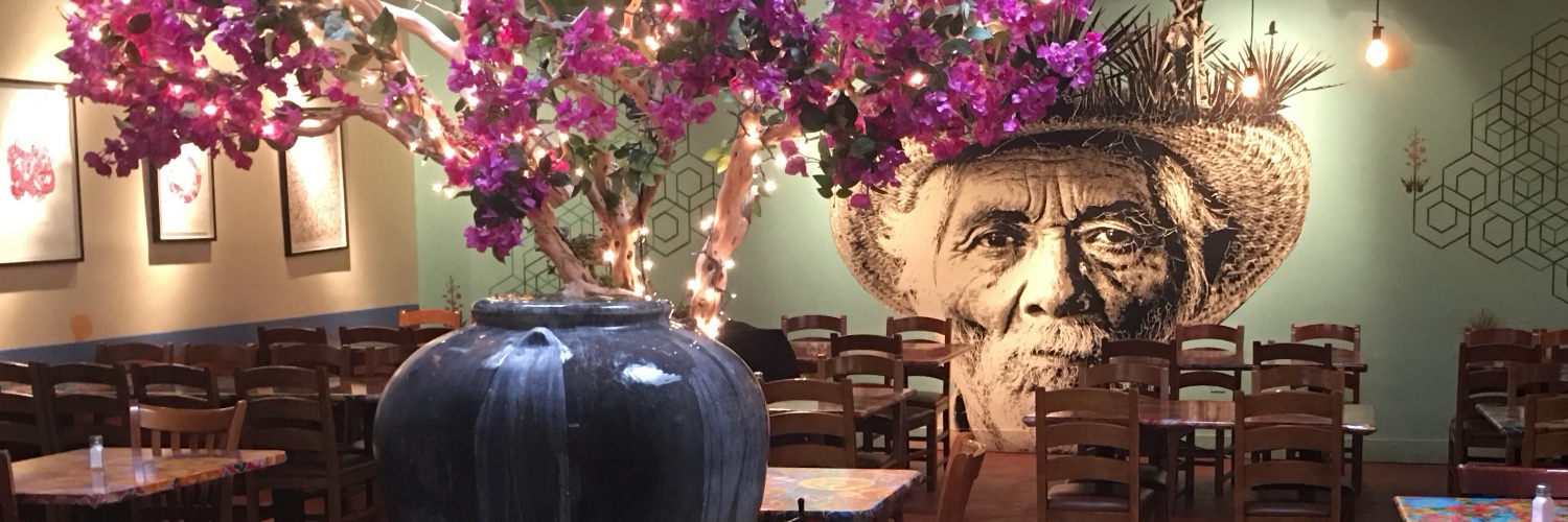 Robert Klitgaard banner