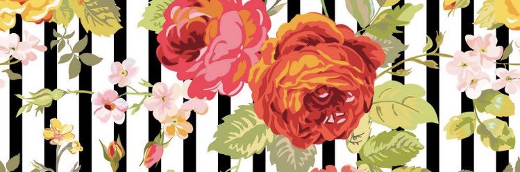 EmmyLou12's profile banner image