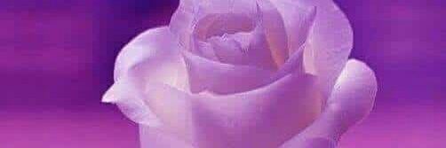 dogan44dogan's profile banner image