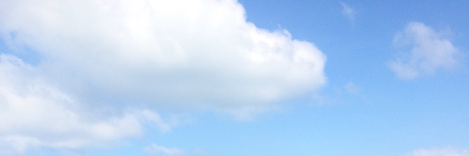 patchydoggy's profile banner image