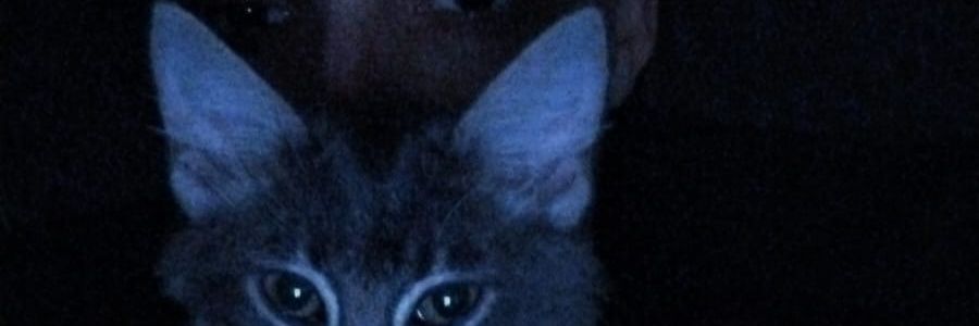 _finalbreath's profile banner image