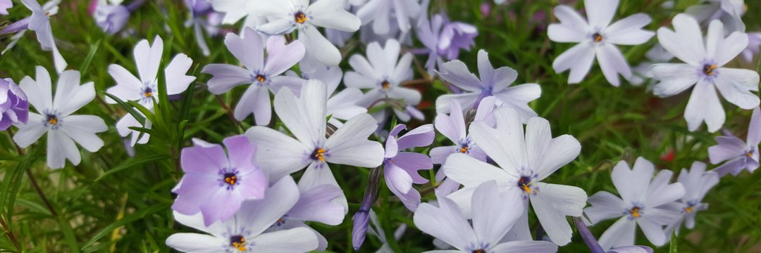 ItsBritcxx's profile banner image