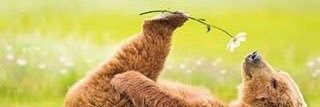 lantz_pantz's profile banner image