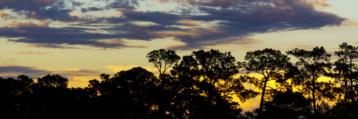 DavidAJohnsonJr's profile banner image