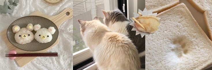 mvugys's profile banner image