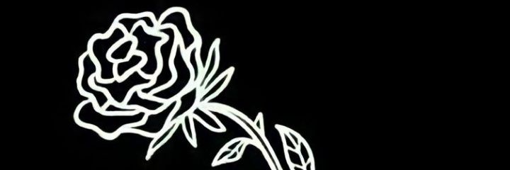 Yanellarachid_'s profile banner image