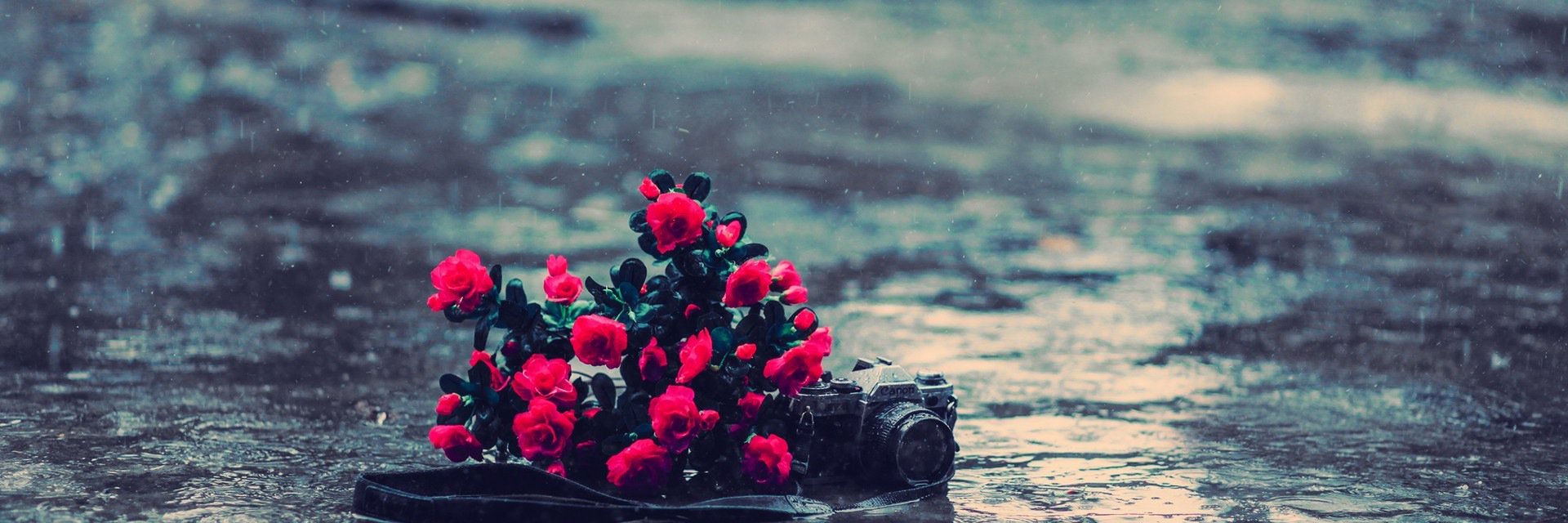 WistfulTears's profile banner image