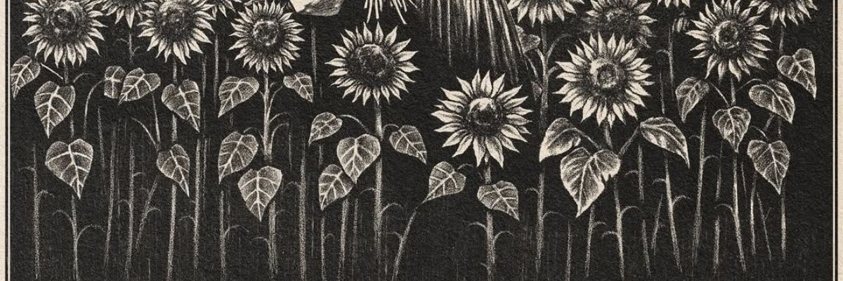 seikimis's profile banner image