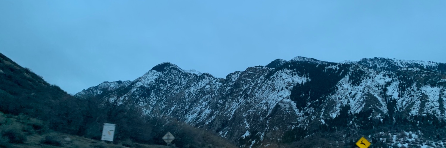 GibPatton's profile banner image